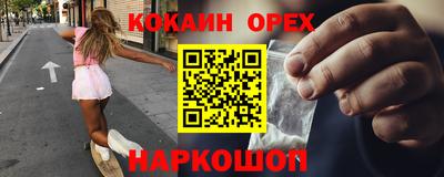крисы Кунгур