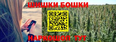 крисы Кунгур