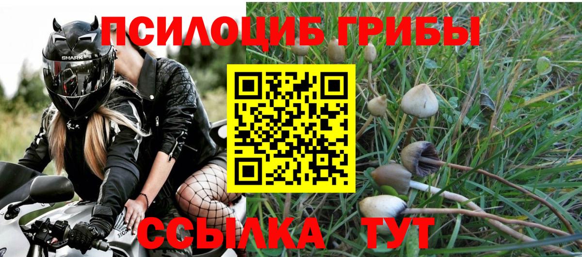 Псилоцибиновые грибы мицелий Знаменск